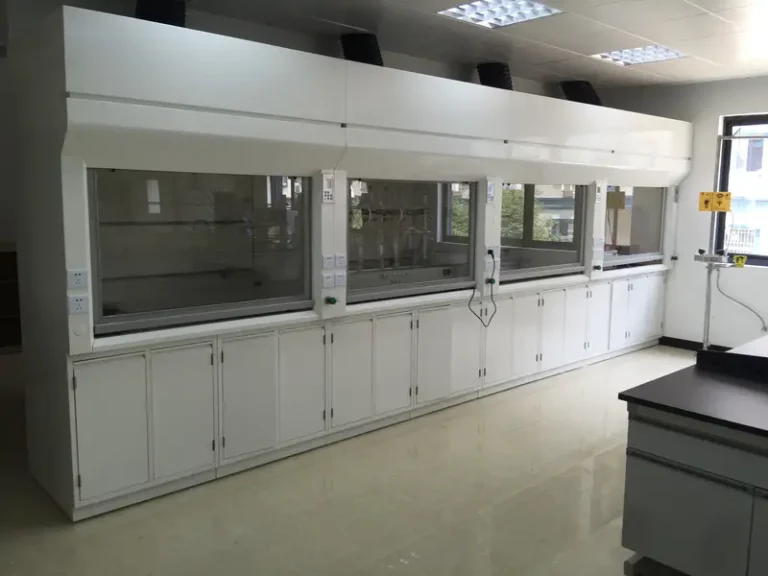 DECENT Laboratory Fume Hood with Integrated Storage
