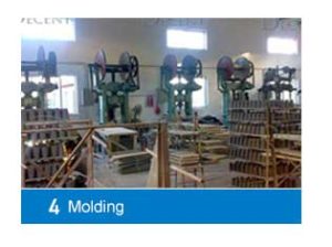 Molding