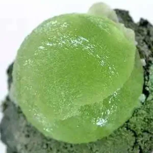 A rounded, lumpy, translucent light green grapestone silicate mineral formation on a darker matrix.