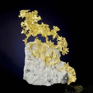 A stunning natural gold specimen, featuring intricate gold formations embedded in a white quartz matrix, displayed against a dark background.