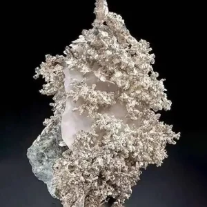 A delicate, intricate mass of bright, metallic-silver filigree and arborescent crystals on a light-colored rock matrix, showcasing the beauty of natural silver.