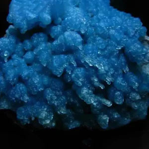 A vibrant blue mineral specimen of gibbsite, an aluminium hydroxide, with a unique botryoidal or grape-like texture on a dark matrix.