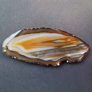 A polished slice of banded agate, the minerals with concentric layers of white, orange, and brown patterns.