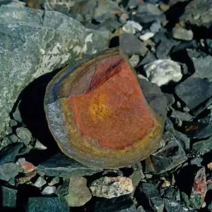 A rounded rock of limonite, an iron ore mineral, showing concentric bands of red, orange, and brown on a bed of gravel.