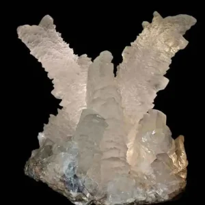 A delicate, white and translucent mineral formation of selenite gypsum, also known as plaster, with a feathery, winged shape on a dark background.