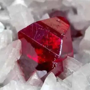 A brilliant, deep red cinnabar crystal, a mercury sulfide mineral, surrounded by a cluster of smaller white minerals.
